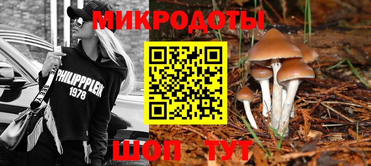 наркошоп  Псилоцибиновые грибы Psilocybe  Псилоцибиновые грибы Psilocybe  Вход с VPN  Саяногорск 
