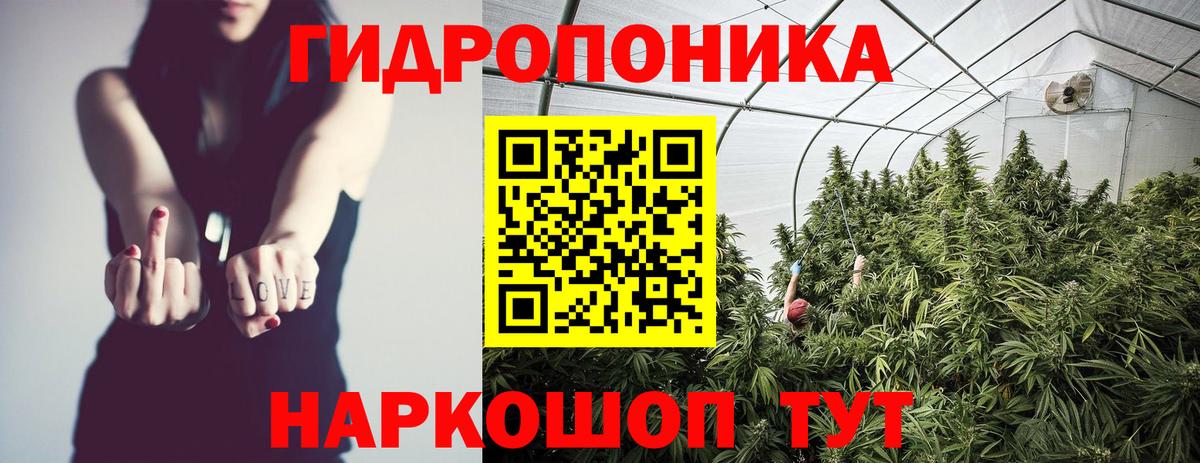 Бошки Шишки семена  Бошки Шишки план  Марихуана Amnesia  Вход с VPN  Саяногорск 